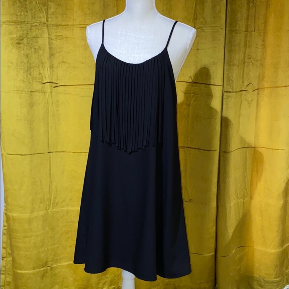 Gianni Bini Fringe Front Dress